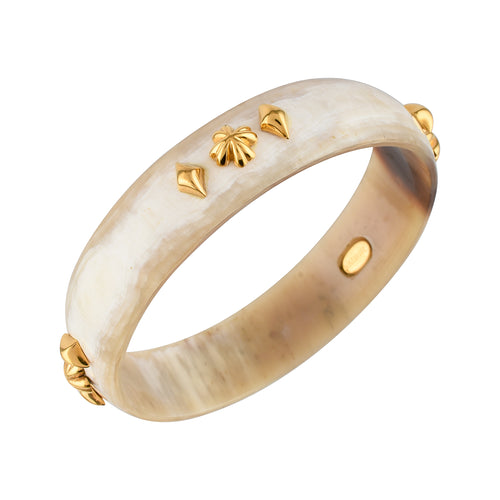 Safari continuity Bangle